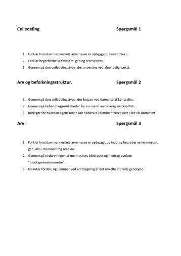 filosofi eksamen stx